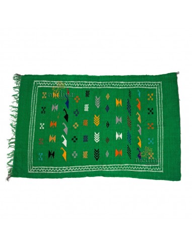 Tapis vintage fait main tapis berbre aux motifs ethniques sur fond vert